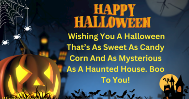 Happy Halloween 2023 Wishes Quotes Messages and Greetings